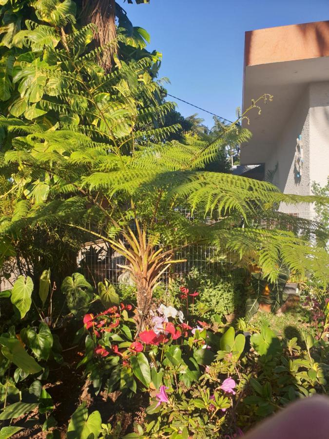Couleurs Des Iles Apartment Льо Тампон Екстериор снимка